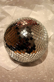 Portrait of a Disco Ball