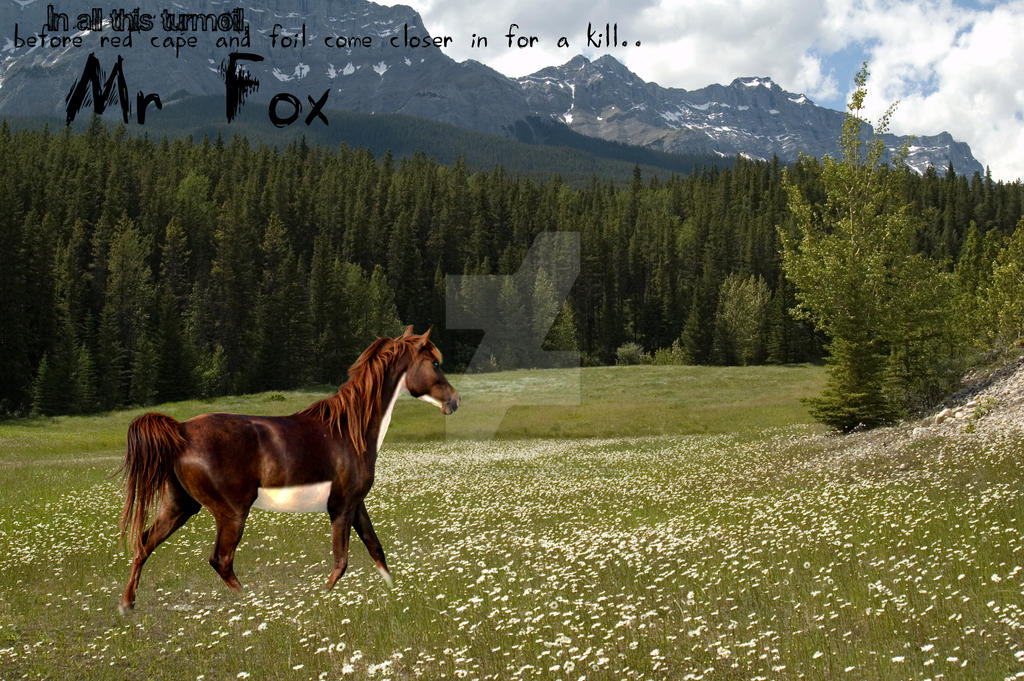 Foxy loxy lo