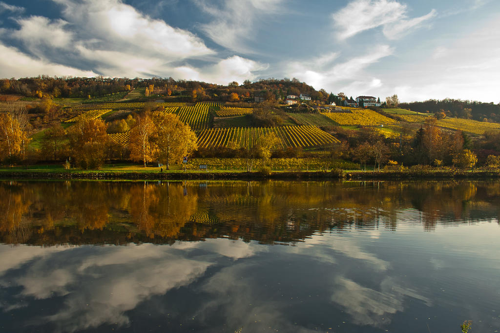 Mosel river side