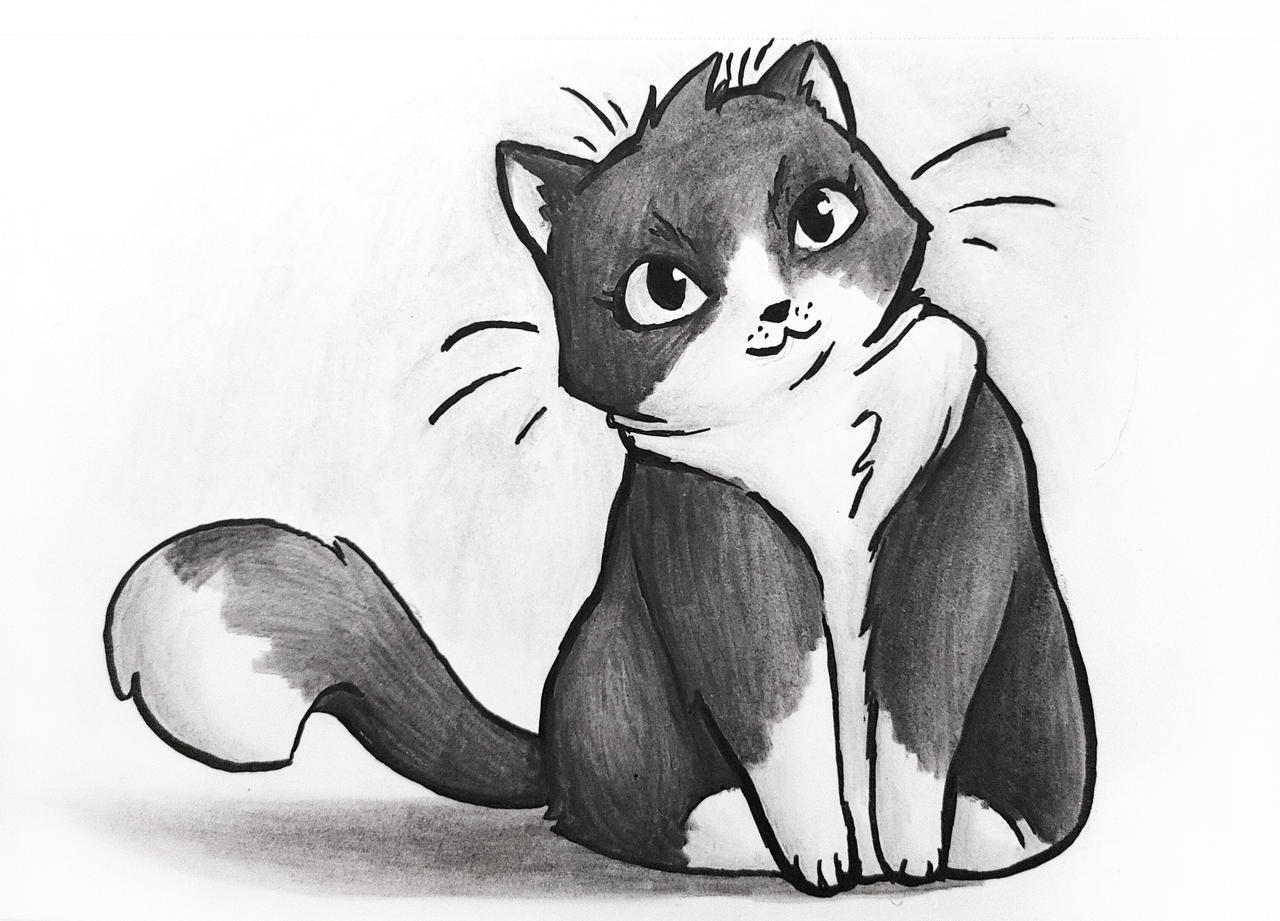 Tutorial Cat by NebulousOcelot on DeviantArt Tutorial Cat by NebulousOcelot on DeviantArt