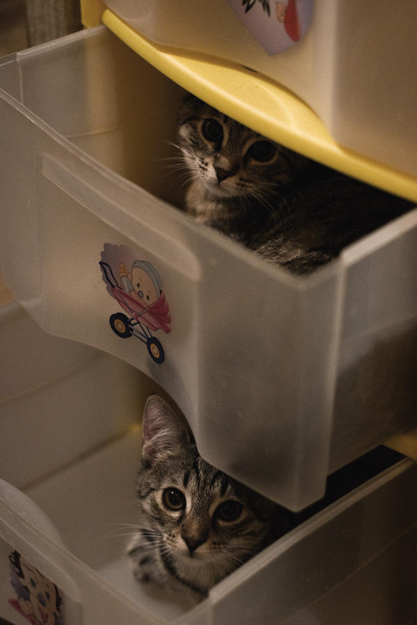 Inbox by Florielf on DeviantArt