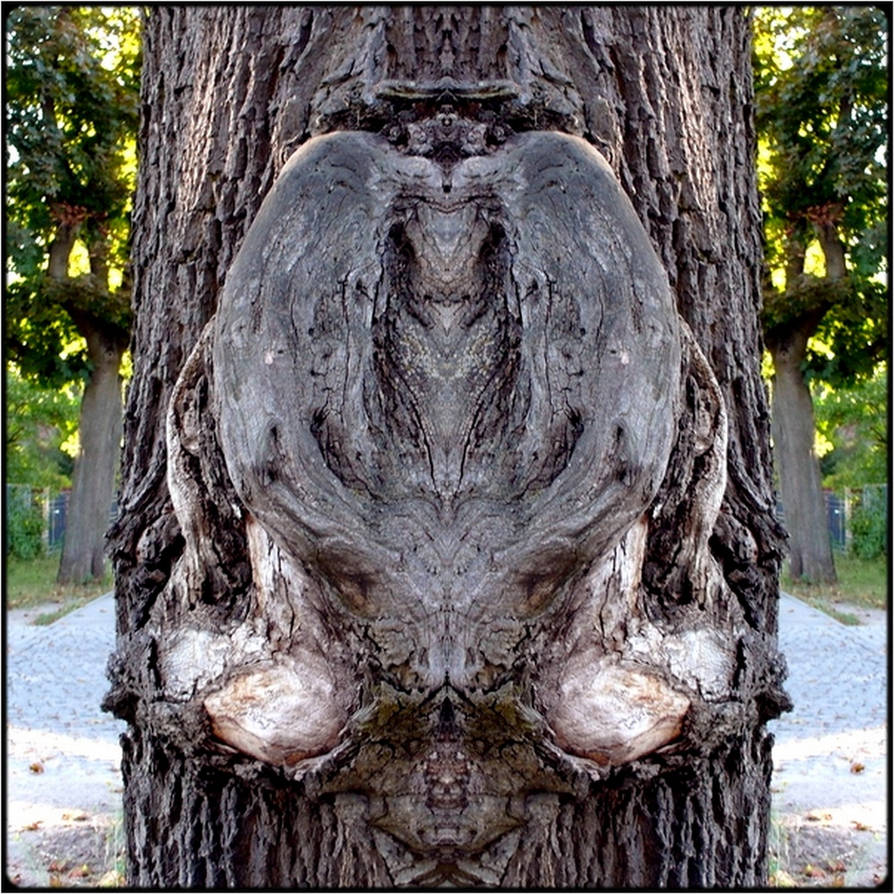 The rabbit-moose by FritzGessler on DeviantArt