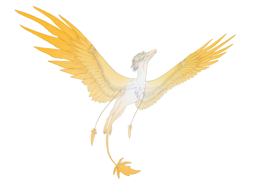 Golden Wings by TheBlack-Arrow on DeviantArt
