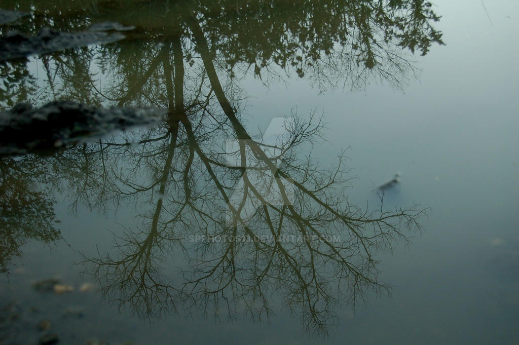 Mud puddle reflection by SpPhotos13 on DeviantArt