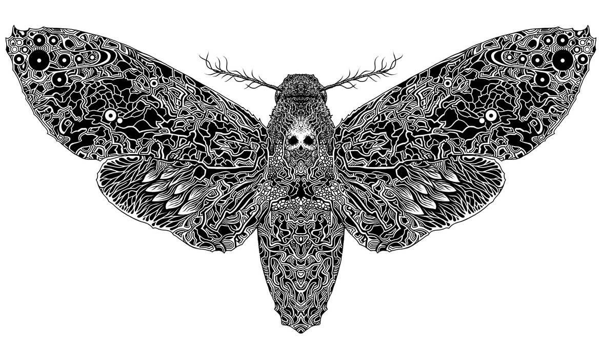 Death Moth (2016) by ConnorAndersonArt on DeviantArt