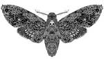 Death Moth (2016) by ConnorAndersonArt