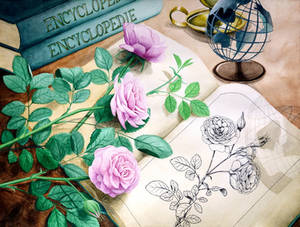 Encyclopedia by l-Zoopy-l Encyclopedia by l-Zoopy-l