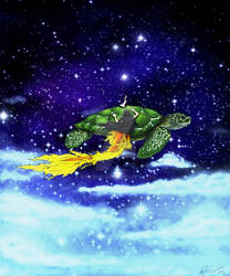 Turtle Voyage Stars Copy