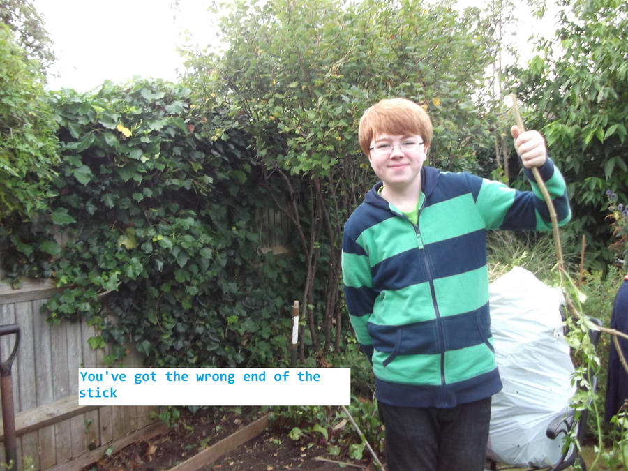 i ve got the wrong end of the stick