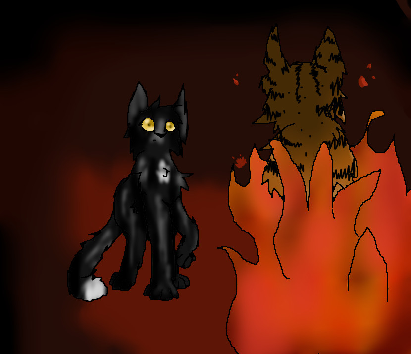 Ravenpaw's nightmare