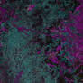 Purple Moss Background