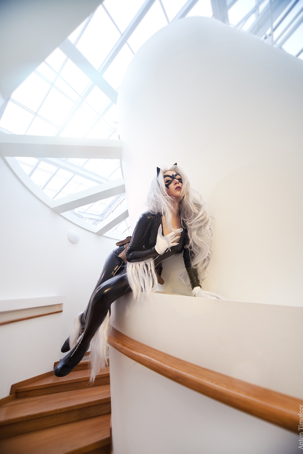 Black Cat. Ultimate comics Spider-Man