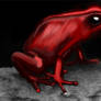Red Frog
