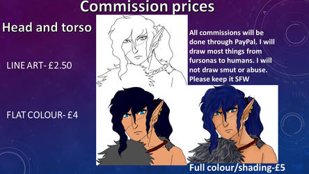 Commissions head/ torso prices.