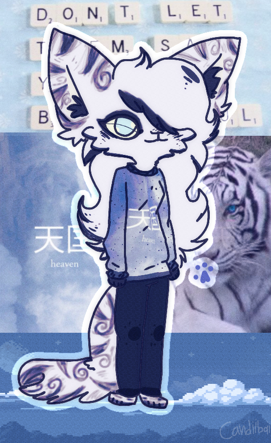 aesthetic adopt - offer