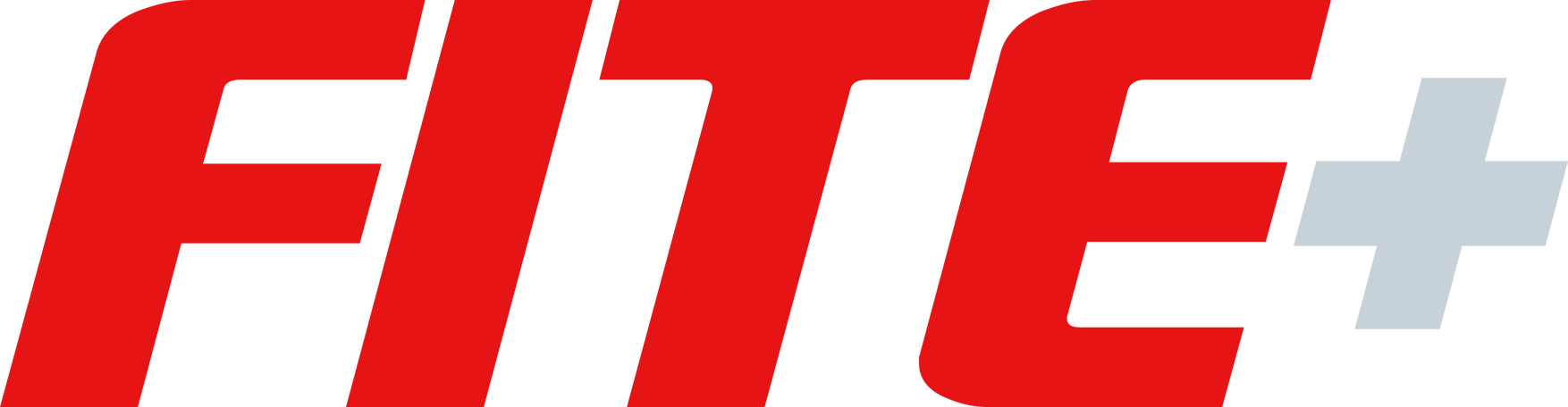 FITE Plus Logo by HellMen45 on DeviantArt