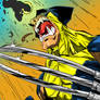 Wolverine Hulk Blaze