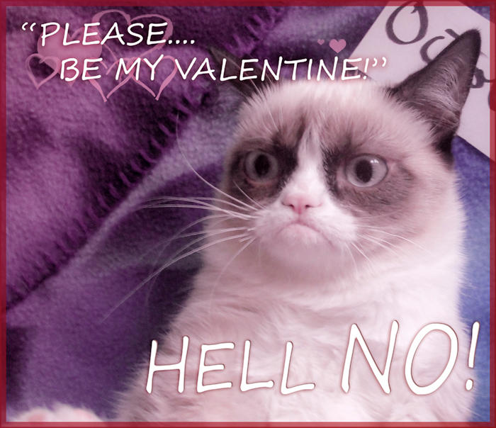A Grumpy Valentine by 77Shaya77 on DeviantArt