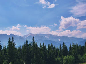 Tatry