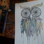 Dreamcatching owl