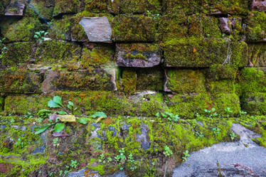 Decaying 19th Century Plastered Brick Texture-edit