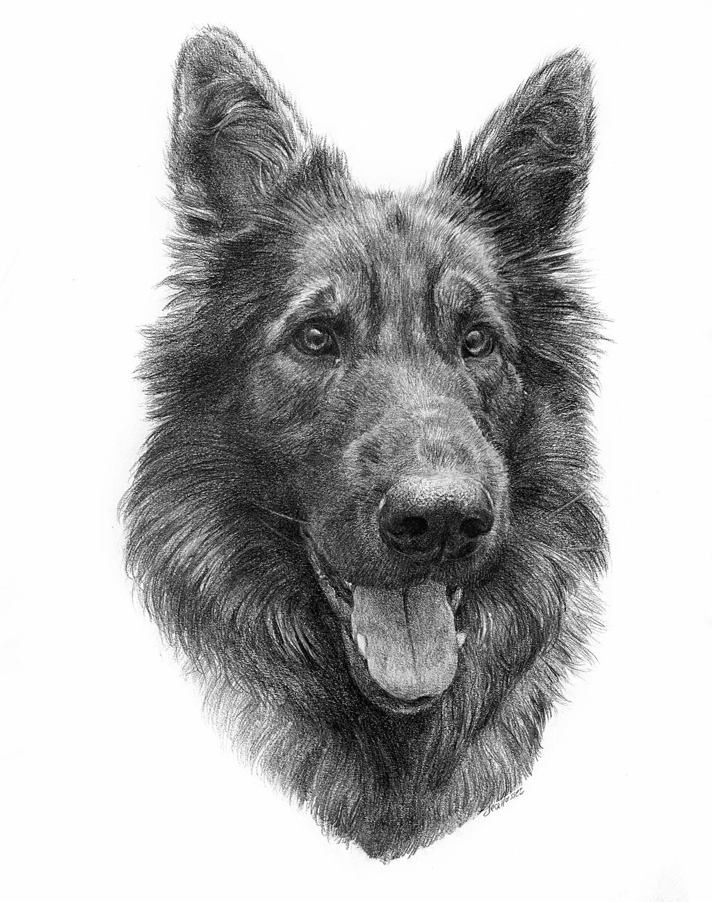 Sturm - Portrait by LeaMssz on DeviantArt