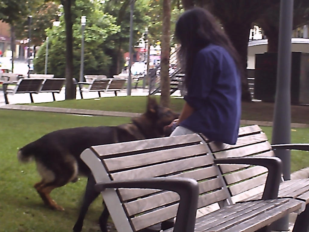 Suck A Dog Cock Seems this dog suck human cock LOOL by A-Fregar on DeviantArt