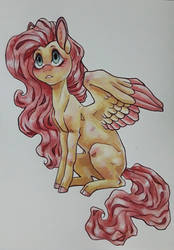 Fluttershy