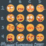 expression meme