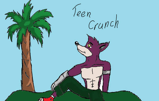 teen Crunch