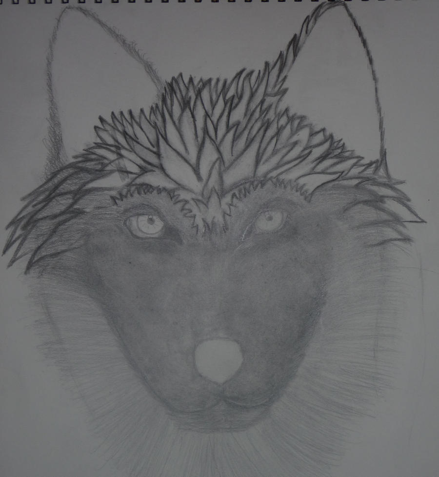 WIP Wolf Face