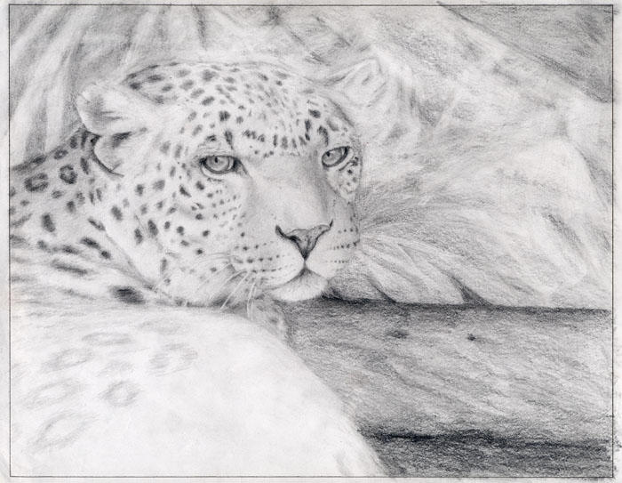 Almost finished Leopard