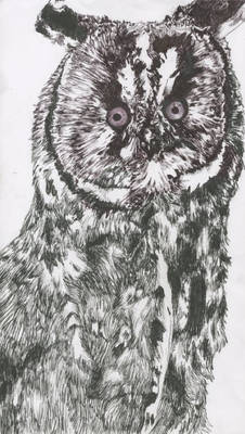 owl