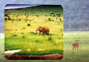 The lonely one 2001 Kenya