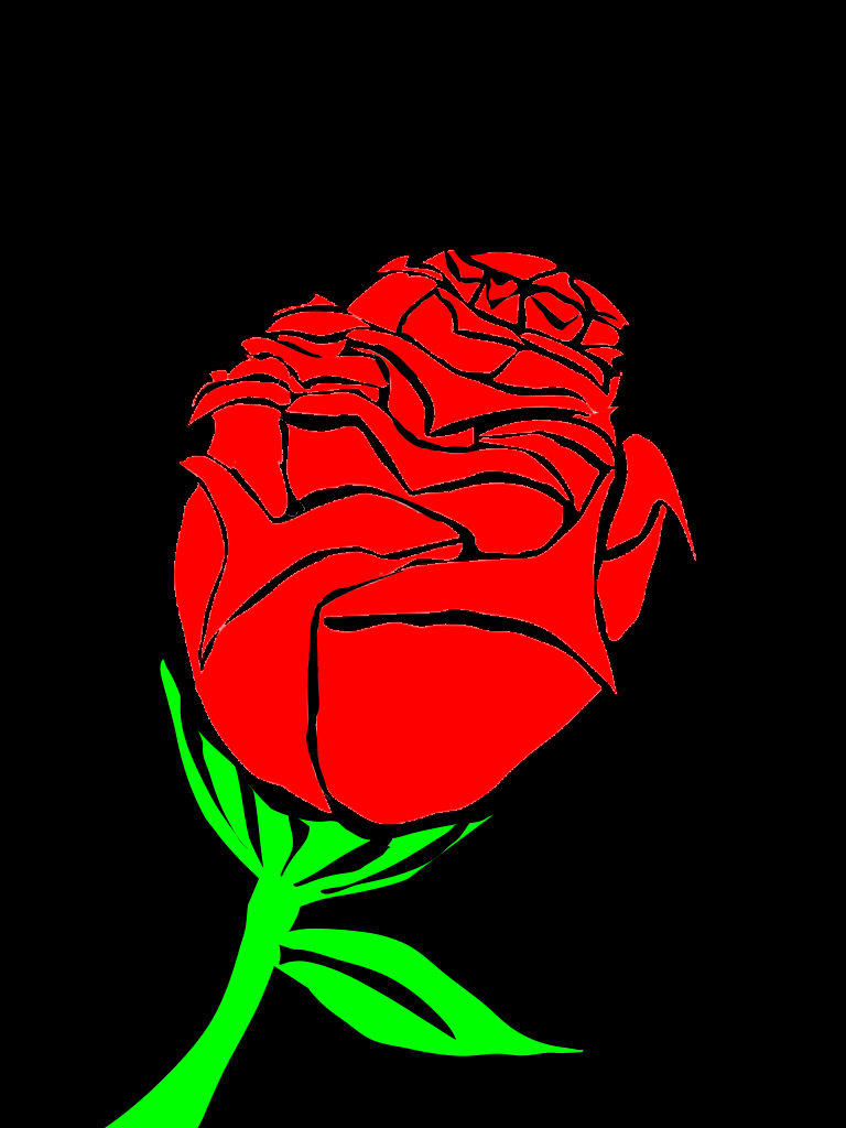 Rose