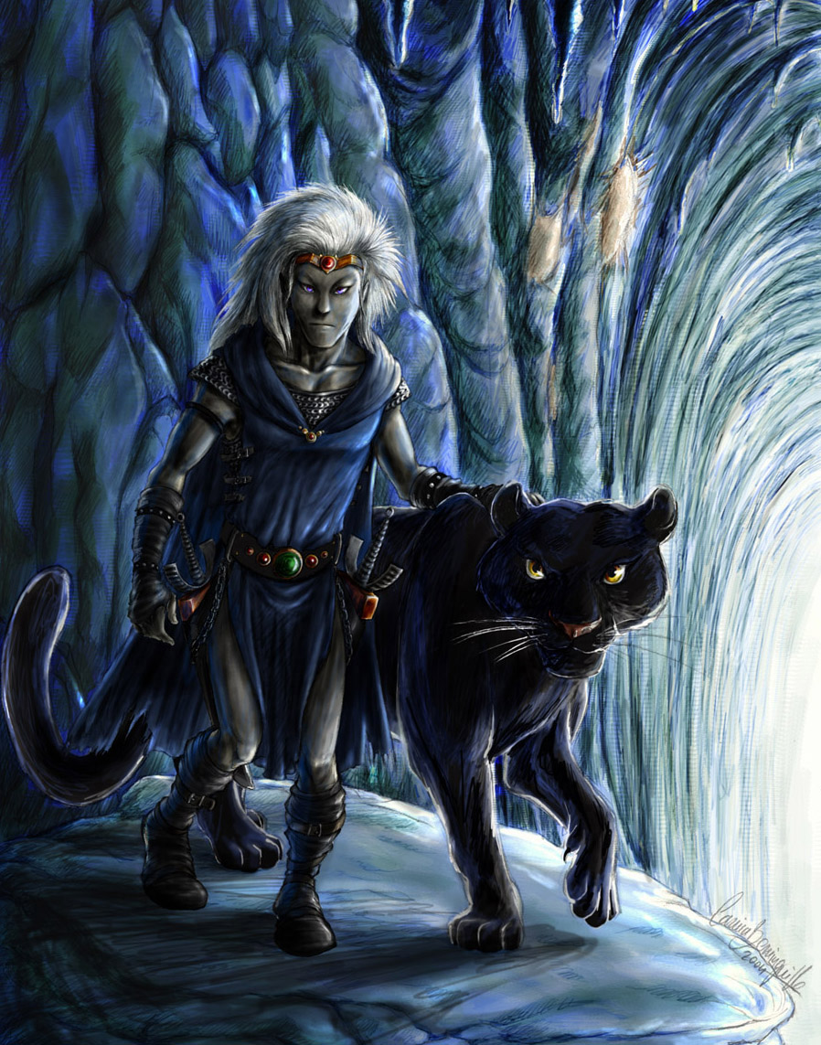 Concept of Drizzt by AniHime