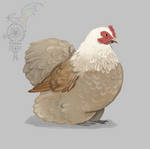 (twwm) A chicken ??? by Drakanecia
