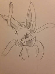 Look it's a Sylveon