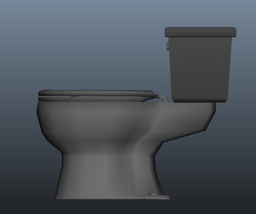 Toilet Side View