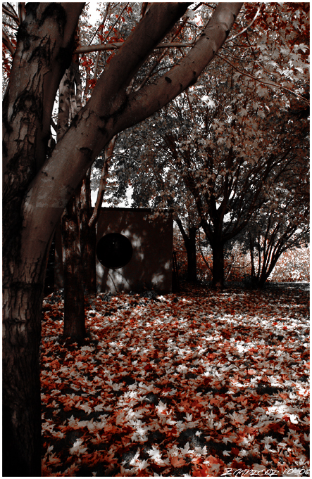 Desaturated like Autumn