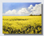 Prairie Gold by artsyone39