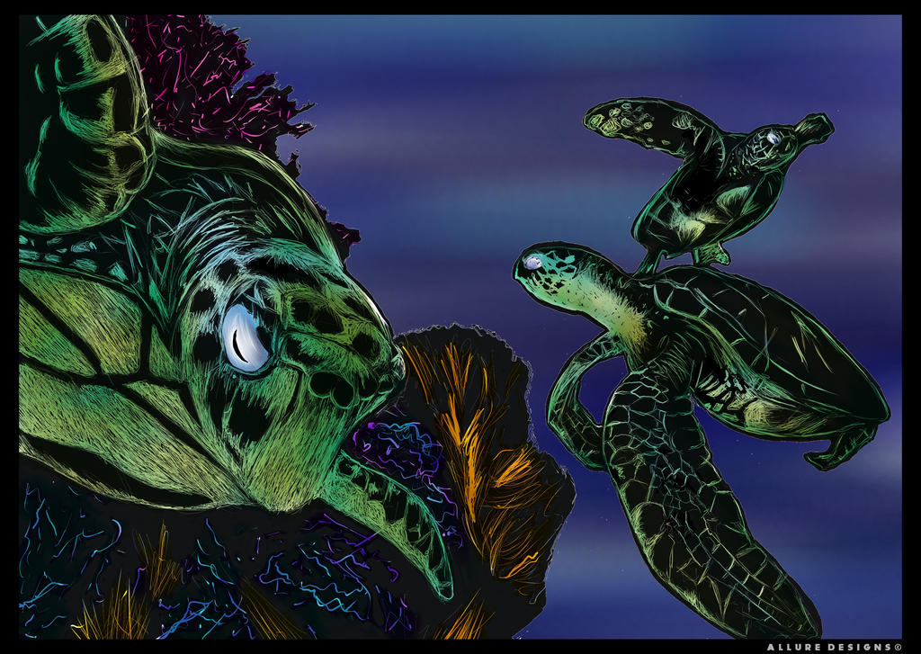 Sea Turtles by Allure09 on DeviantArt