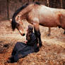 Natural Horsemanship - 04