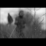 everything else is by Olga-Zervou