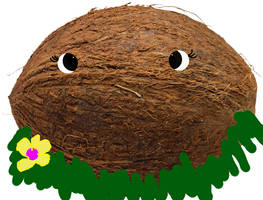 Coco Coconut