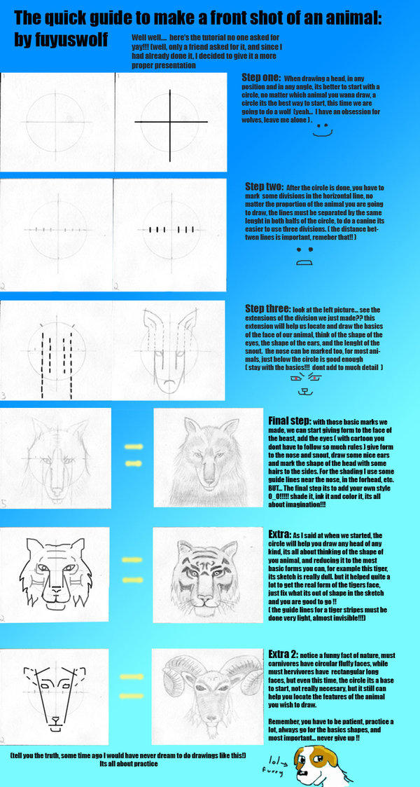 Creature Face Tutorial ANIMAL FACE TUTORIAL by anthro-tuts on DeviantArt
