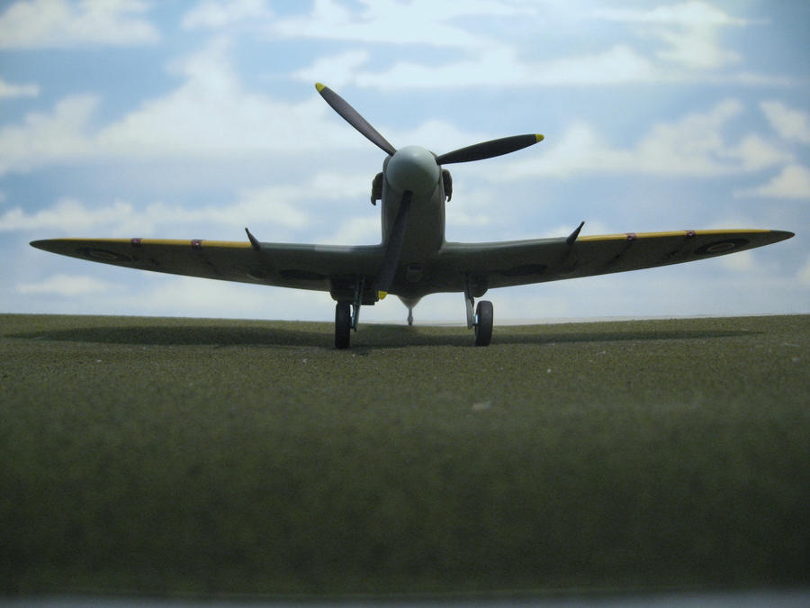 Spitfire,s Business End