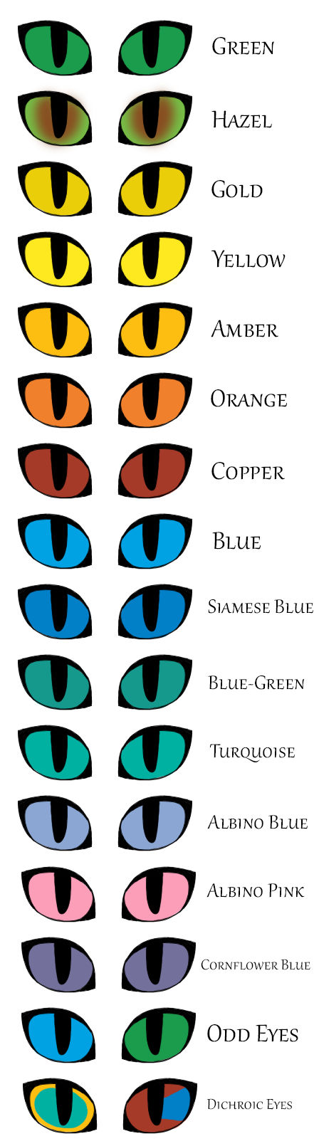 Eye Color Guide for A-Gathering by BluYondr on DeviantArt