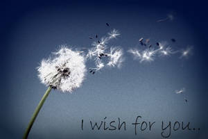 I wish for you