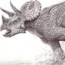 Triceratops sketch